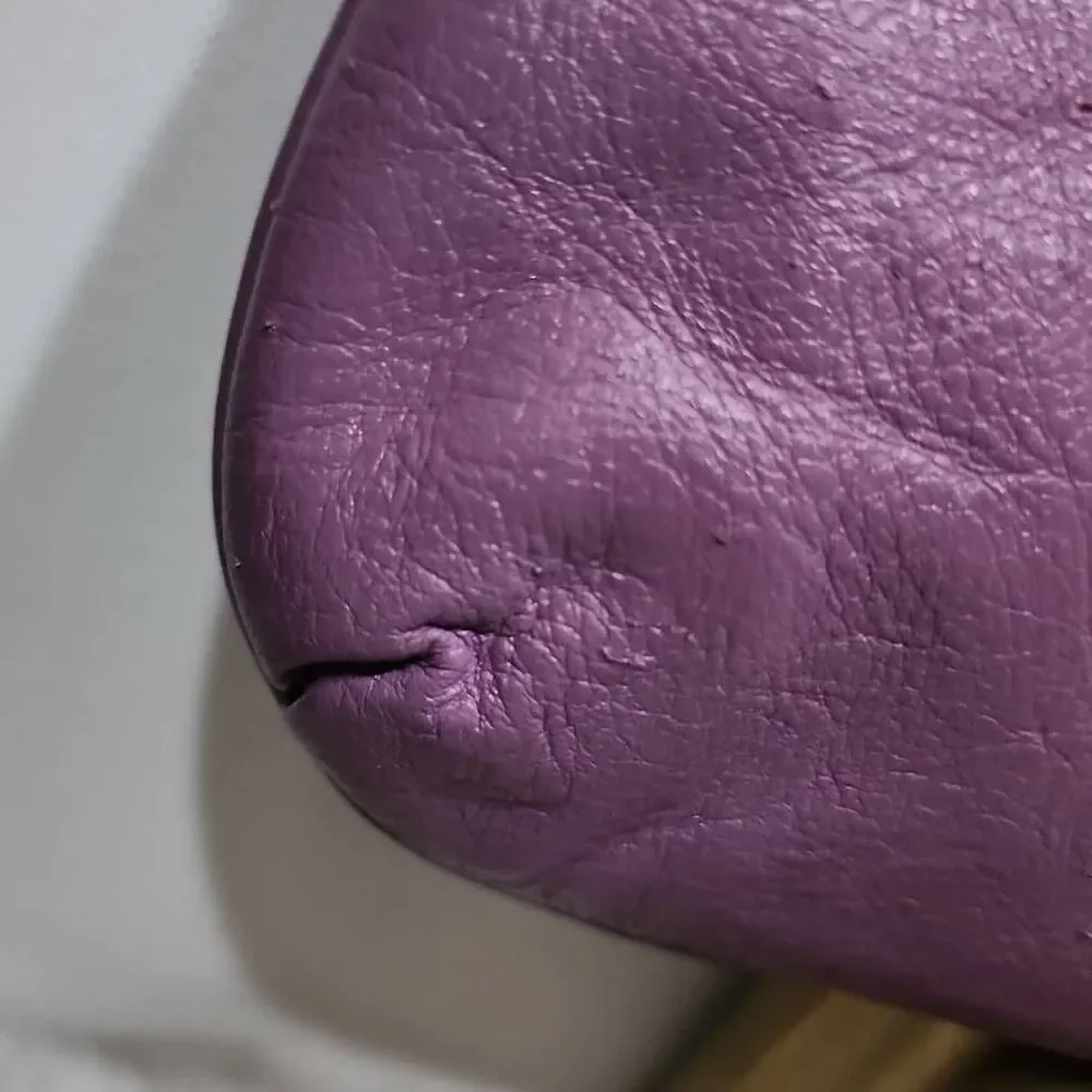 Coach Ashley Leather Wristlet Medium